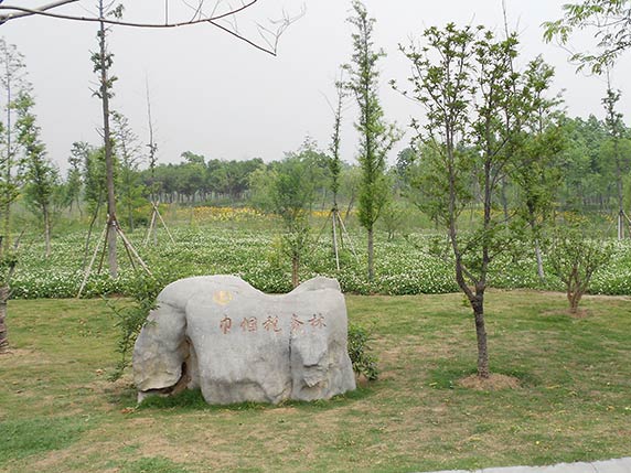 假山石材